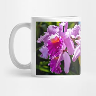 Pink Flowers Mug